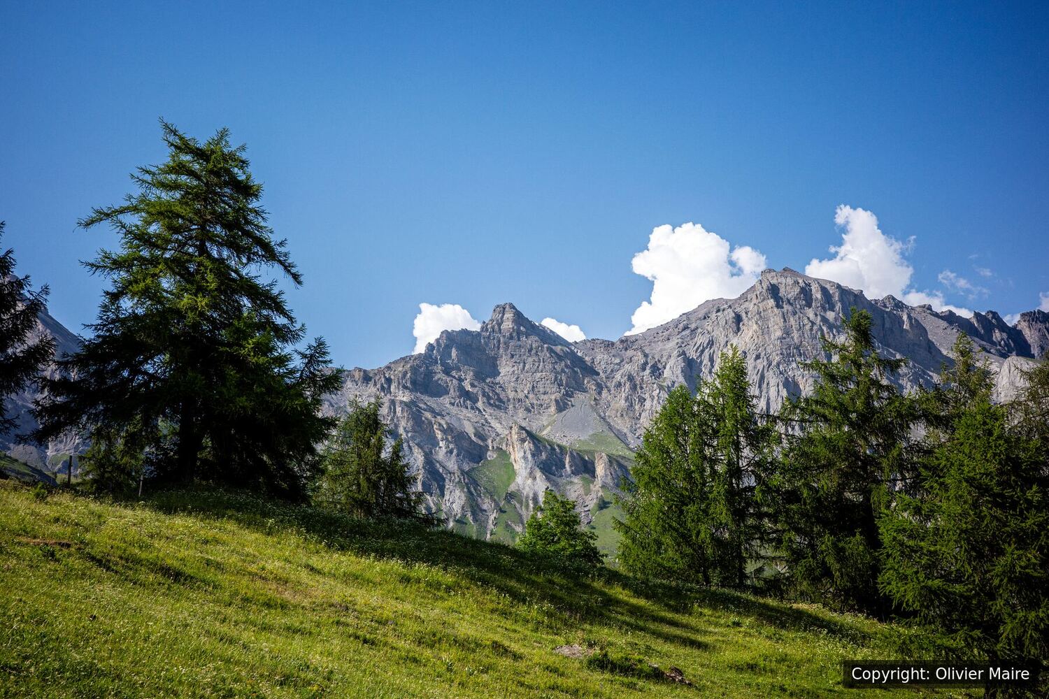 Prairie alpine et sommets près de Chamoson et Ovronnaz