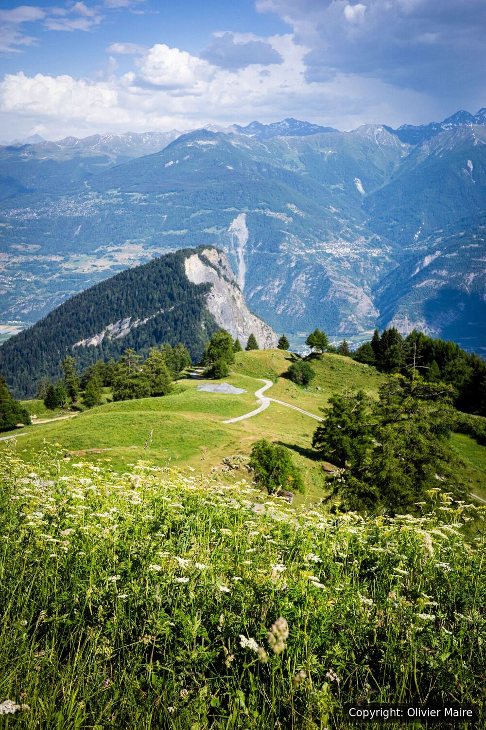 Sentier de randonnée dominant la vallée du Rhône